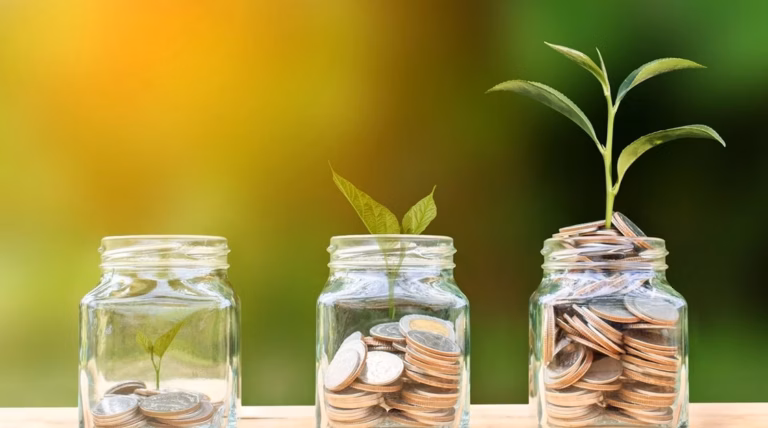 Revolut révolutionne la gestion financière : une solution dédiée à vos besoins